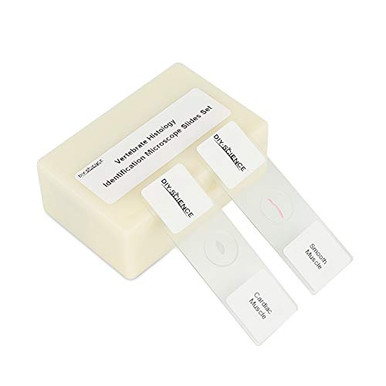 Prepared Vertebrate Histology Identification Microscope Slide Set ...