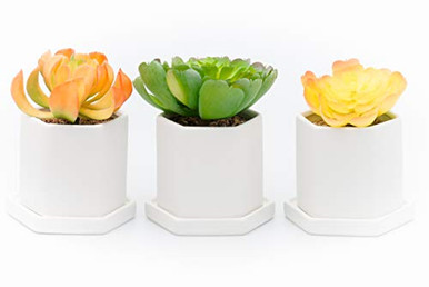 Succulent Planter Pots Small Ceramic Containers Cactus Planters Flower ...