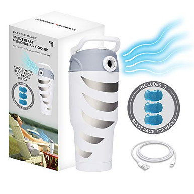Sharper Image Breeze Blast