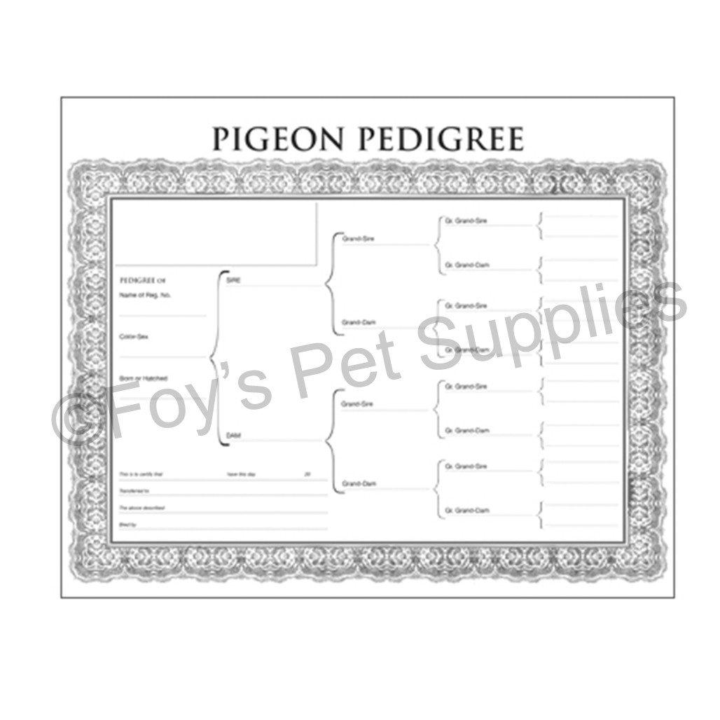 Pedigree Blanks - 25 Pack