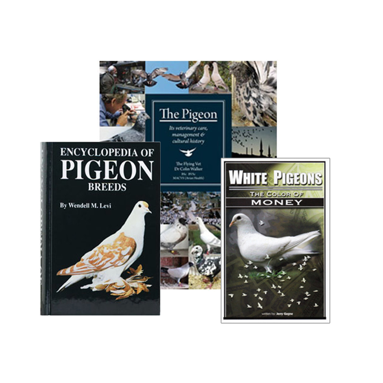 General / Starter Pigeon Books