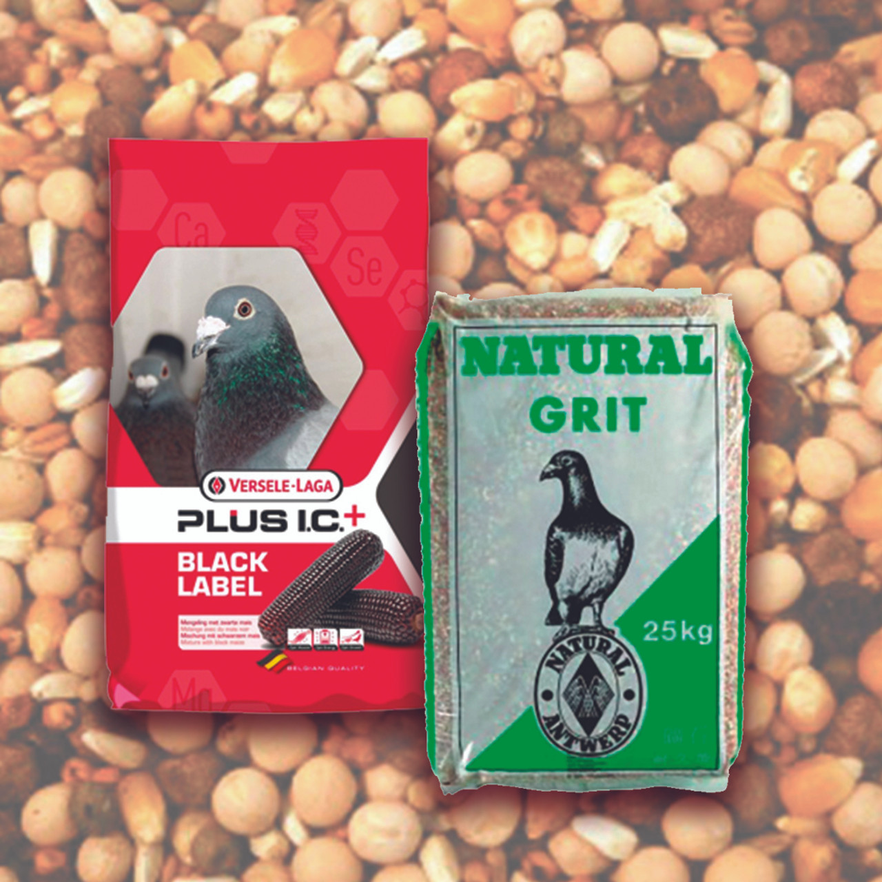 Expert Approved Pigeon Diet An Essential Guide To Their Optimal Nutrition - i4kbjse