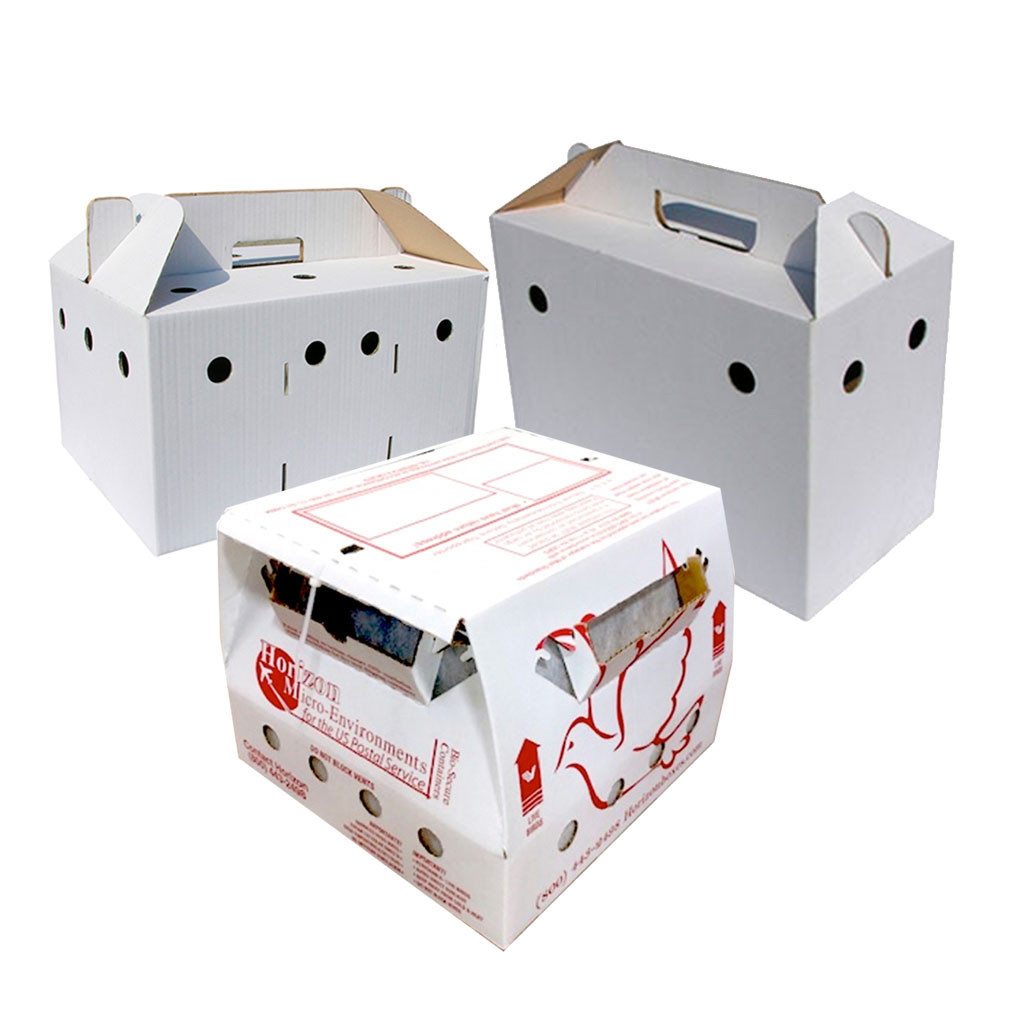 Pigeon Shipping & Transport Boxes Foy's Pet Supplies