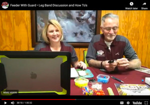 Foy's Facebook Live - Feeder With Guard • Leg Band Discussion and How To's Foy's Facebook Live - Feeder With Guard • Leg Band Discussion and How To's
