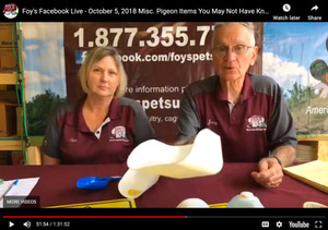 Foy's Facebook Live - Misc. Pigeon Items You May Not Have Known Existed (October 5, 2018)