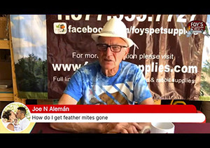 Foy's Facebook Live - July 17, 2020 (Viewer Questions) Foy's Facebook Live - July 17, 2020 (Viewer Questions)