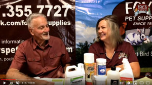 Foy's Live (Friday, August 13, 2021) - Hot Weather Issues