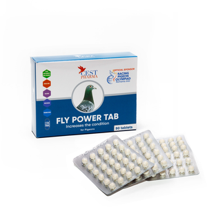 #2907 CEST FLY POWER TABS - 90 tabs #2907 CEST FLY POWER TABS - 90 tabs
