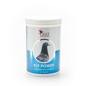 #2906 CEST FLY POWER POWDER 600g #2906 CEST FLY POWER POWDER 600g