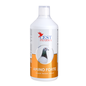 #2901 CEST AMINO FORTE 1000ml #2901 CEST AMINO FORTE 1000ml
