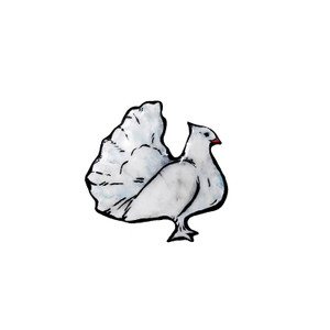 #9992 FANTAIL PIN #9992 FANTAIL PIN