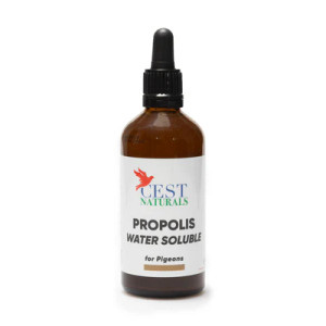 #2922 CEST PROPOLIS for BIRDS #2922 CEST PROPOLIS for BIRDS