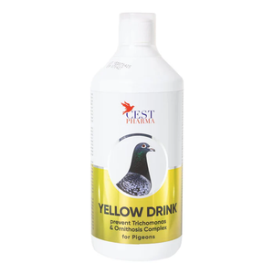 #2927 CEST YELLOW DRINK #2927 CEST YELLOW DRINK