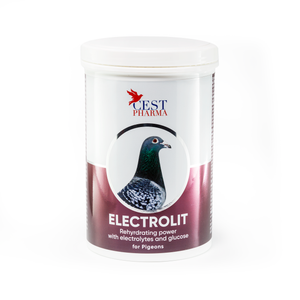 #2931 CEST ELECTROLIT 600g