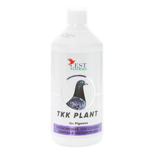 #2939 CEST TKK PLANT, 1L (33.8 oz)
