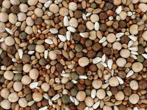 #7060 BREEDER CONDITIONER NO CORN - 50 LBS.