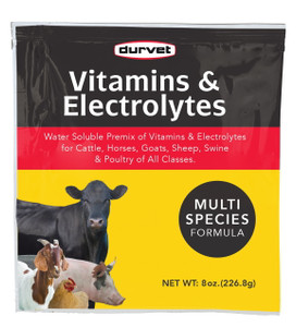 #620 VITAMIN & ELECTROLYTES - 8 OZ #620 VITAMIN & ELECTROLYTES - 8 OZ