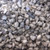 #657 CRUSHED OYSTER SHELL 10 LBS.
