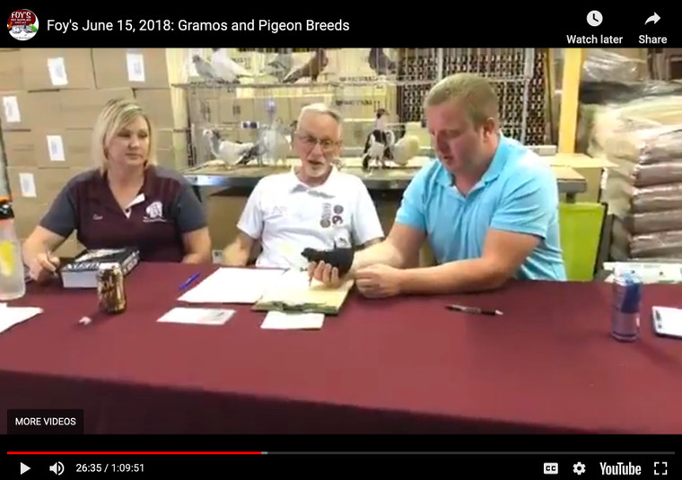 Foy's Facebook Live - Gramos and Pigeon Breeds