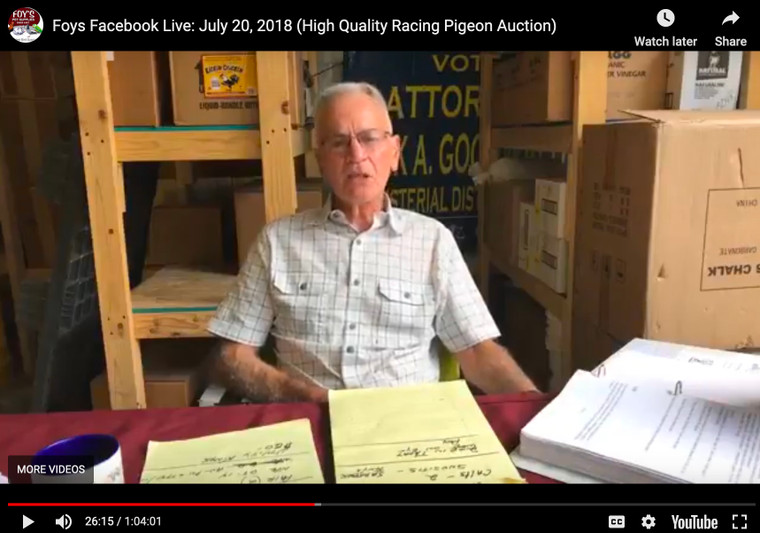 Foy's Facebook Live - High Quality Racing Pigeons (July 20, 2018)