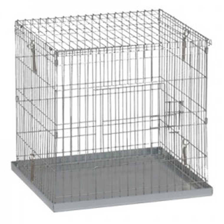 IMPORTED SHOW/JUDGE CAGE