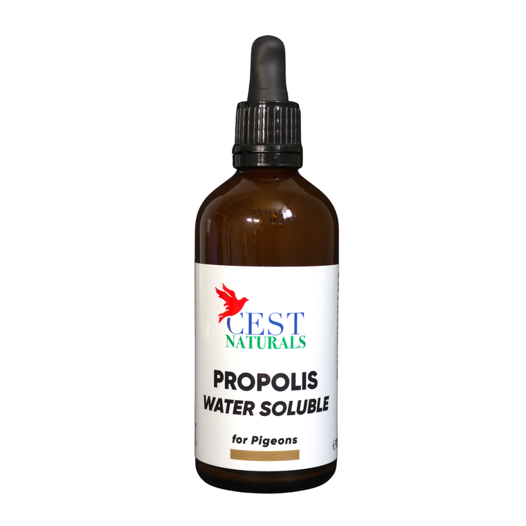 #2922 CEST PROPOLIS for BIRDS
