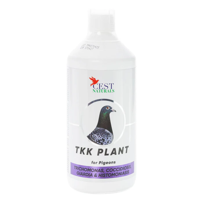 #2939 CEST TKK PLANT, 1L (33.8 oz)