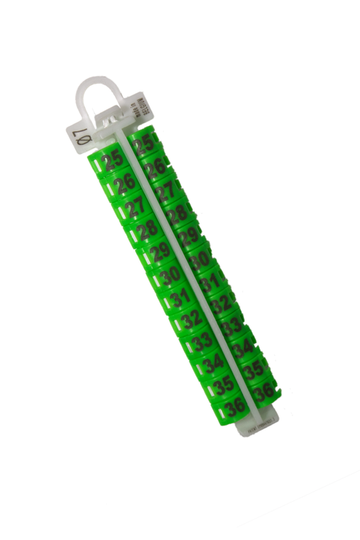 #2715 EZ LOCKRINGS - SIZE 7 25-36 GREEN