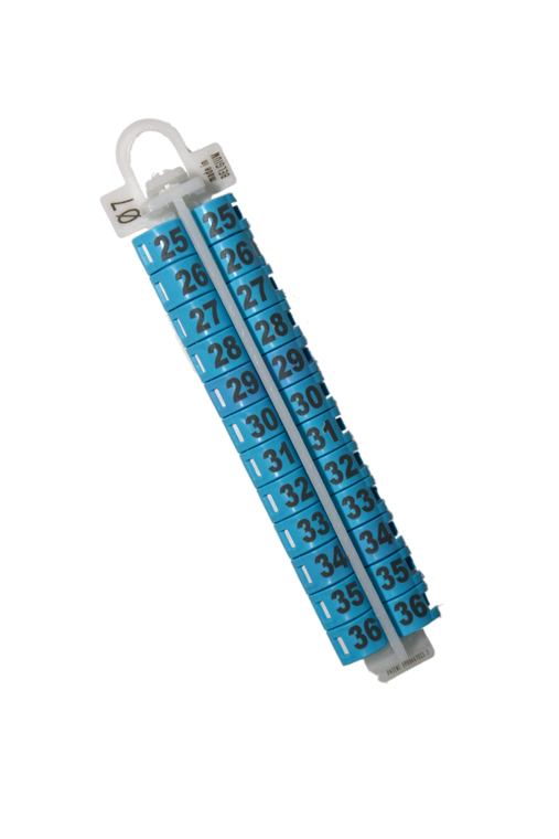 #2730 EZ LOCKRINGS - SIZE 7 25-36   BLUE
