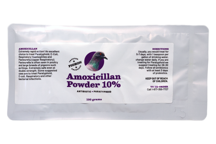#2504 AMOXICILLIN POWDER 10%