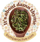 Bumper Sticker: About Damn Thyme