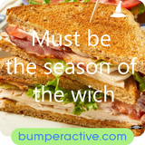 Bumper Sticker: Which wich?
