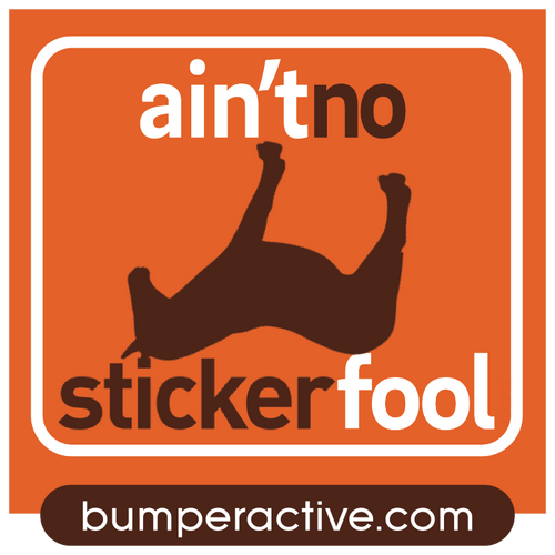 Bumper Sticker: sticker fool Bumper Sticker: sticker fool