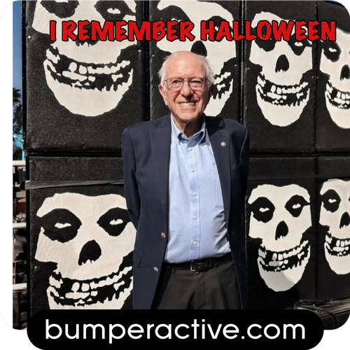Bumper Sticker: Misfit Bernir