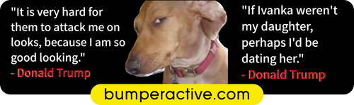 Bumper Sticker: Donald Trump Quotes
