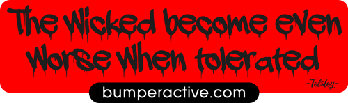 Bumper Sticker: Lesson in Russian