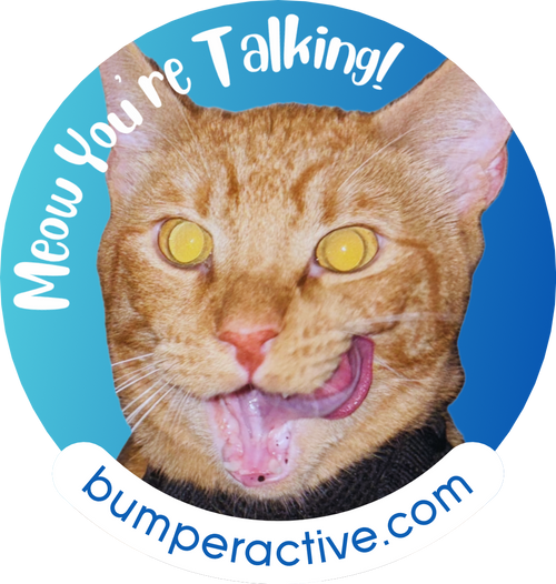 Bumper Sticker: Meow You&#039;re Talking