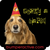 Bumper Sticker: Life&#039;s a Bark