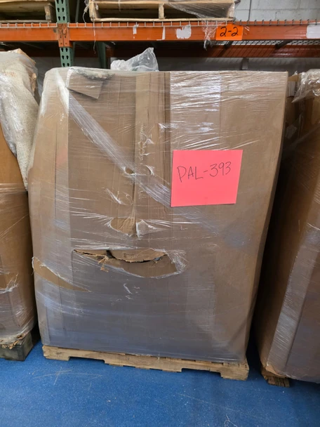MASSIVE Amazon Mystery Pallet #PAL-393