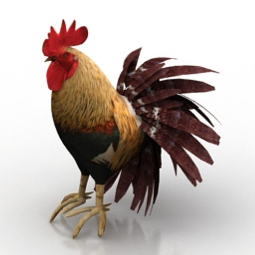 Rooster 3D Model