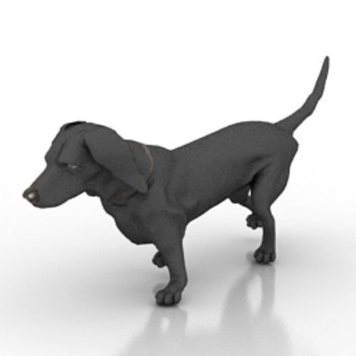 Dog 3D Model