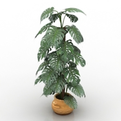 Plant 3D Model