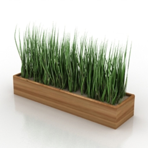 Grass 3D Model