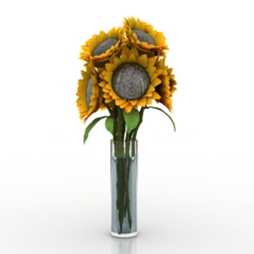 Sunflowers 3D Model