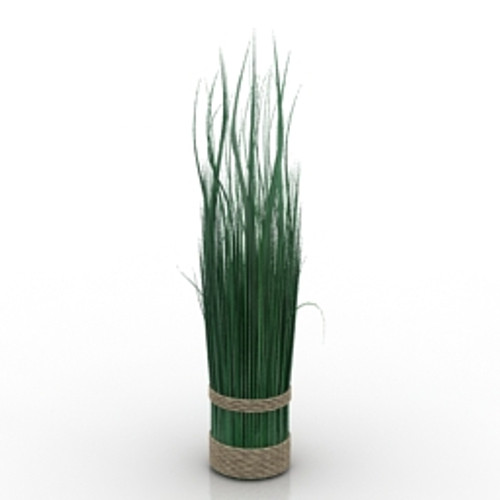 Grass 3D Model