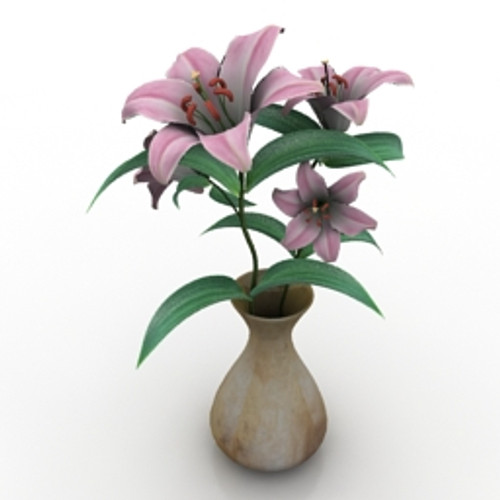 Flowers 3D Model