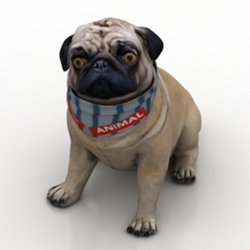 Dog 3D Model