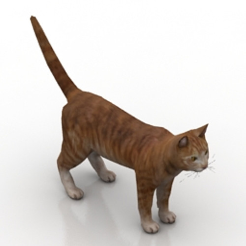 Cat 3D Model