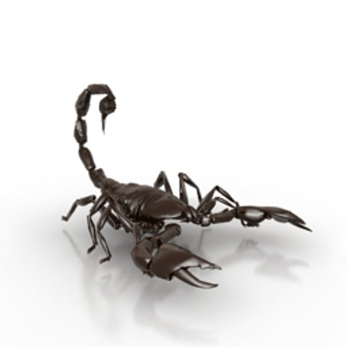 Scorpion 3D Model