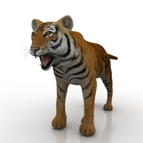 Tiger 3D Model